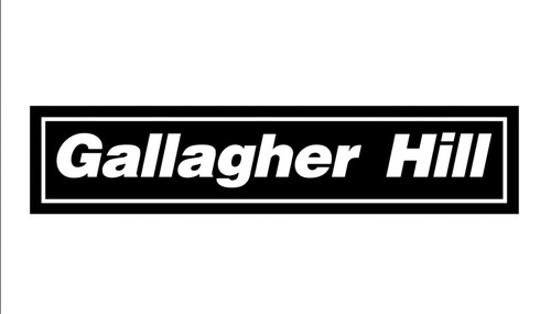 Oasis gallagher hill vinyl - oasis,